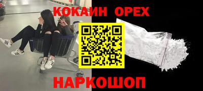 стаф Тула
