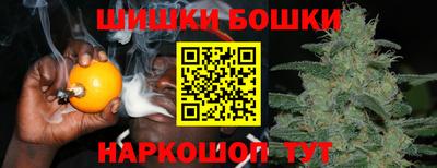 стаф Тула
