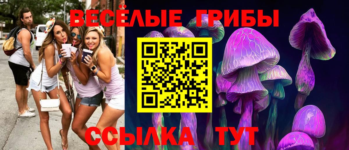 Псилоцибиновые грибы прущие грибы Нарткала