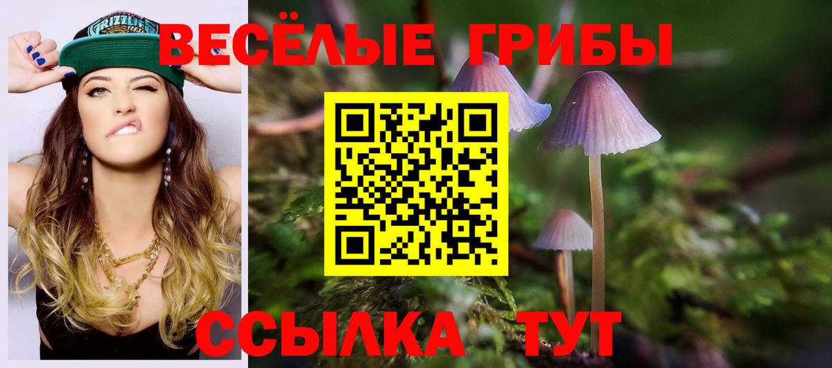 Псилоцибиновые грибы ЛСД  сколько стоит  Нарткала  Вход с VPN  Псилоцибиновые грибы Cubensis 